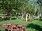 Le Mimose Family Camping Village Lodge Dog 