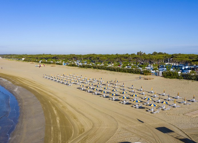 The Green Park Apartment Wohnung Erdgeschoss