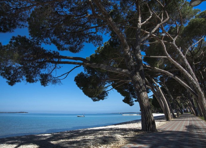 Ferienanlage Bi Village Holiday Home Comfort Kids