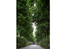 Ferienpark San Francesco Dreizimmer-Ferienhaus Holiday Home Residence 