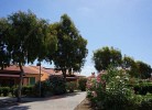 Residence Rosa dei Venti Bungalow Levante 
