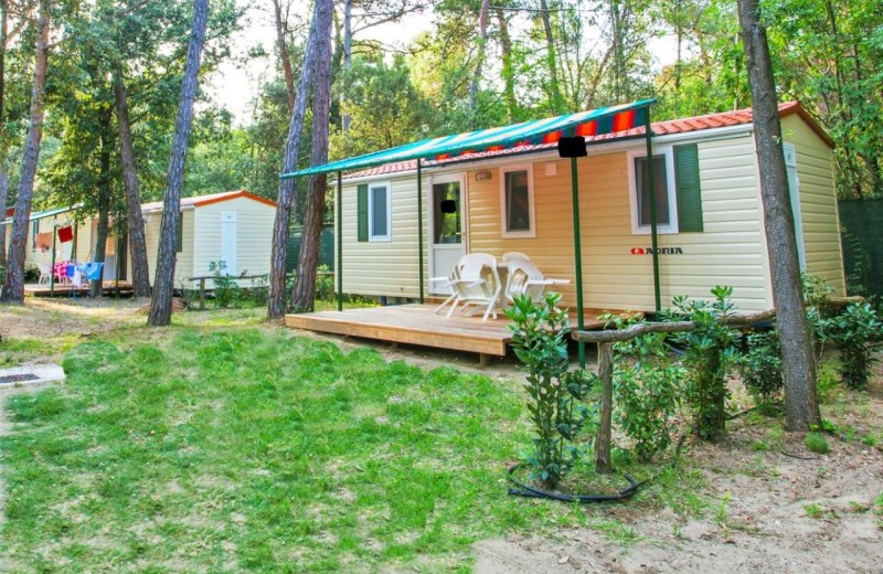Camping Al Bosco Mobilehome Luxury