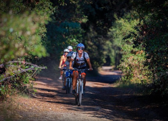 Bosco Verde Camping Mobilehome Maxi