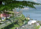 Ferienpark Internazionale Eden Chalet Giglio 