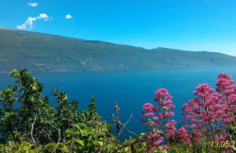 Residenz La Rotonda Zweizimmer-Wohnung Bilo 