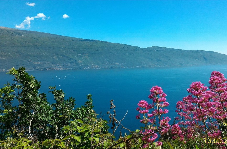Residenz La Rotonda Zweizimmer-Wohnung Bilo 