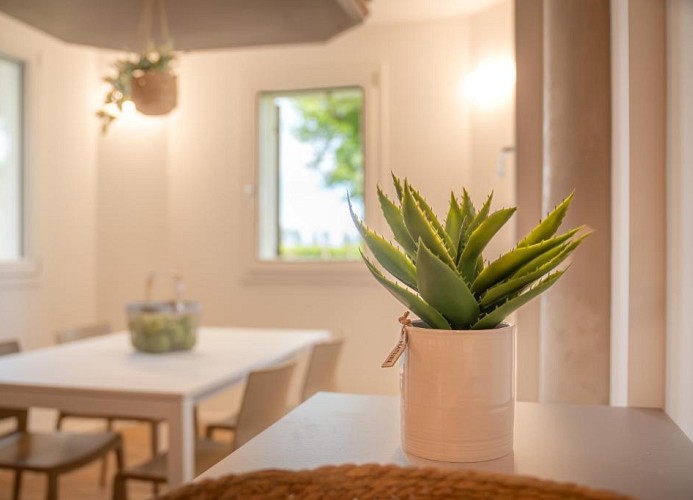 Barchessa Cappelletto Wohnung 4P2C1