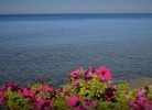 Ferienanlage Savudrija Bungalow 2TG inkl. Halbpension 