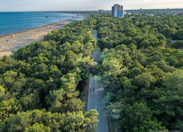 Residenz Torre Bianca Vierzimmer-Wohnung Quadri D6 