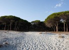 Selema Camping Mobilehome Happy Easy