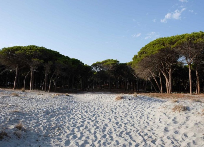 Selema Camping Mobilehome Happy Easy