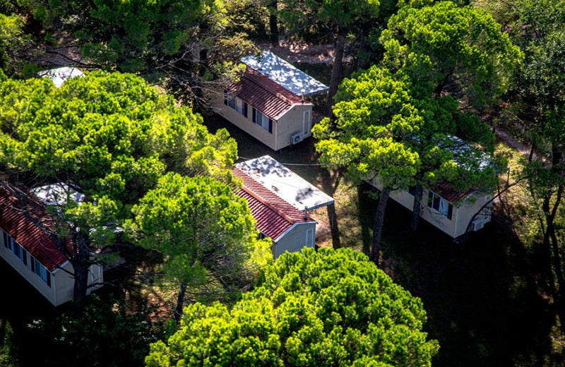 Belvedere Pineta Village Mobilehome Green Holiday