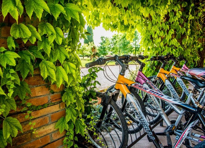 Tenuta Regina Zweizimmer-Wohnung Folaghe Bilocale 