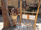 El Bahira Camping Village Mobilehome Happy Easy