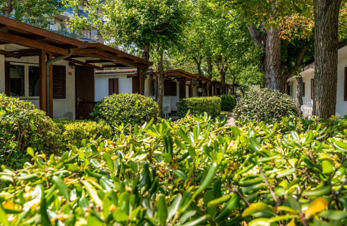 Camping La Conchiglia Bungalow Camelia