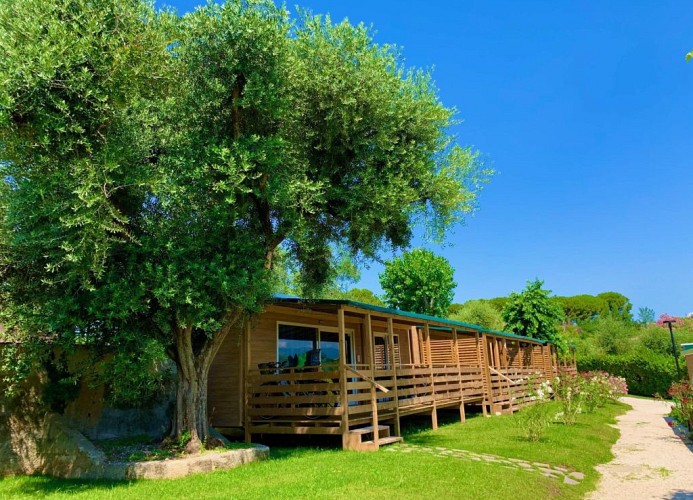 Ferienpark della Colombaia Mobilehome Comfort