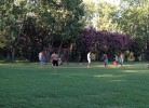 Camping Golden Sunset Mobilehome Happy Easy