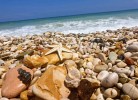 Camping L'Oasi di Lulu Mobilehome 4+1 für 5 Personen