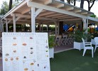 Feriendorf Adriano Lodge Deluxe