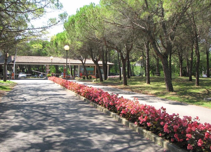 Belvedere Pineta Village Mobilehome Green Holiday