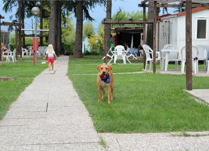 Feriendorf Benedetto Mobilehome Family Joy
