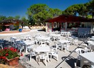 Belvedere Pineta Village Mobilehome Green Holiday