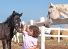 Barricata Holiday Village Mobilehome Sirio Junior