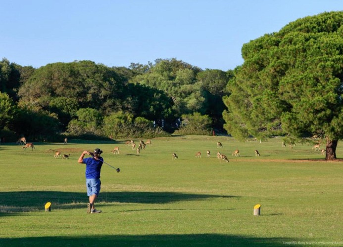 Villa Nina Apartments Familienstudio 2+1