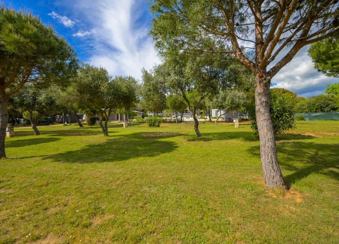 Camp Peskera Mobilehome Delux