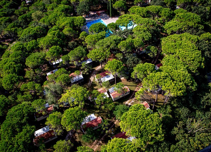 Belvedere Pineta Village Mobilehome Green Holiday