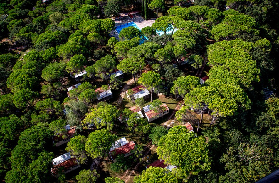 Belvedere Pineta Village Mobilehome Green Holiday