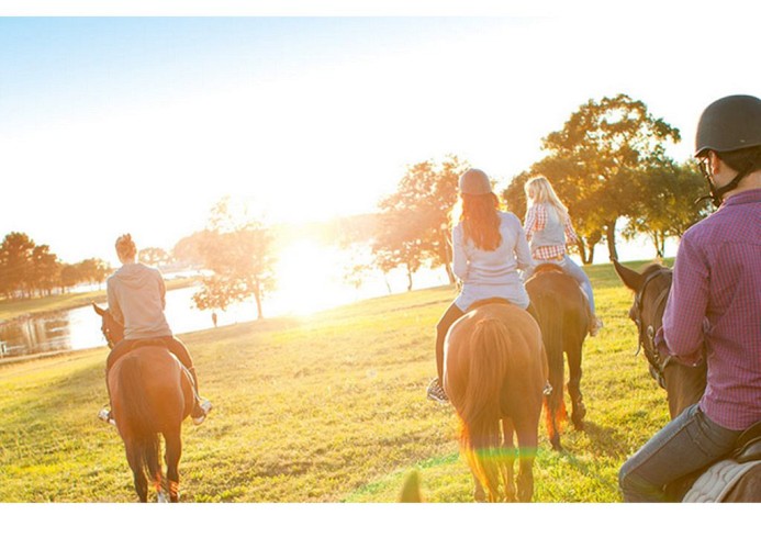 Residenz Lanterna Sunny Resort Sunset Apartment 6 Personen SB26SB Seaside