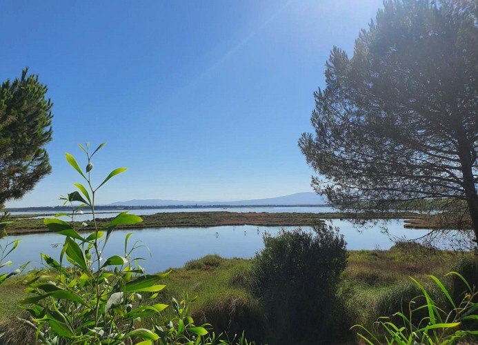 S'Ena Arrubia Camping Village Mobilehome Happy Easy