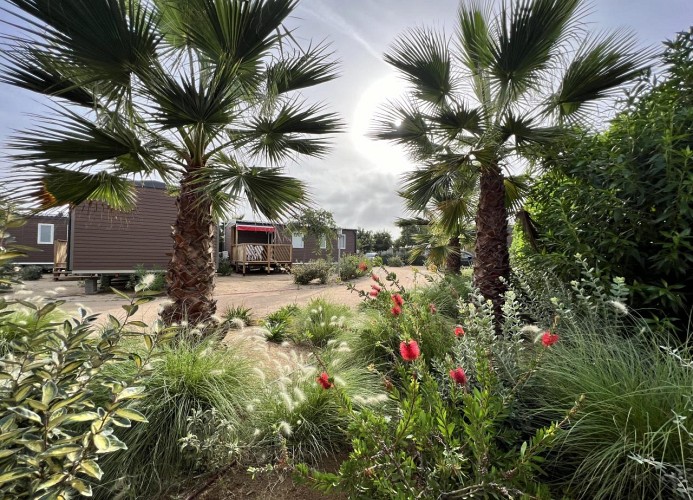 Feriendorf Els Pins Mobilehome Nature