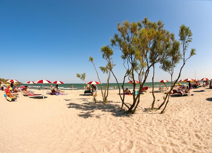 Barricata Holiday Village Boutique