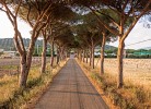 Resort Capalbio Dreizimmer-Bungalow Comfort Trilo