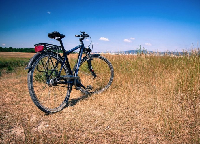 Feriendorf Orbetello Lodge Comfort Plus