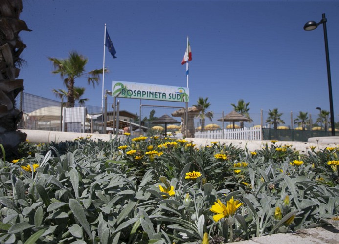 Eingang-Camping-Rosapineta Sud
