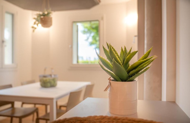 Barchessa Cappelletto Wohnung 4P2C3