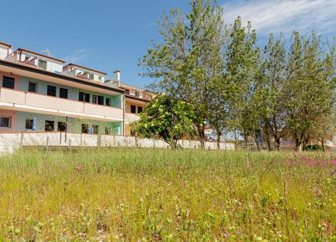Residenz Arcobaleno Zweizimmer-Wohnung Ostrica