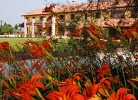 Tenuta Regina Glamping Luxury Lodge