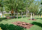 Le Mimose Family Camping Village Bungalow Deluxe