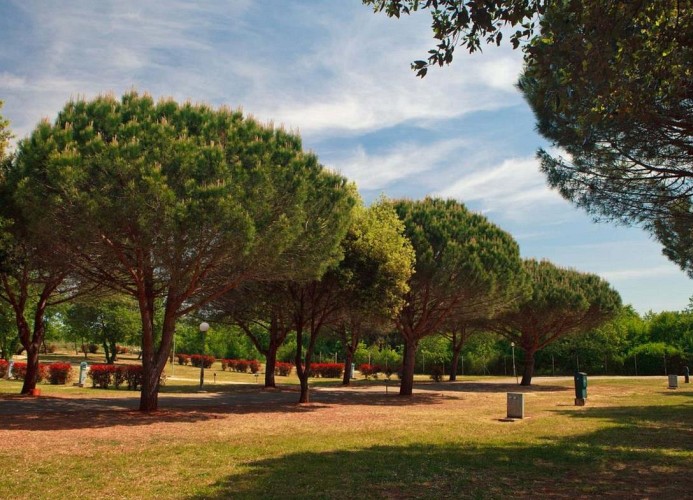 Ferienanlage Camping Stella Maris Mobilehome Superior 