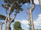 Feriendorf Park Albatros Mobilehome Happy Superior