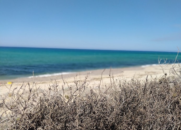 Camping Village Baia Paradiso Mobilehome Happy Easy