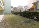 Gartenbereich