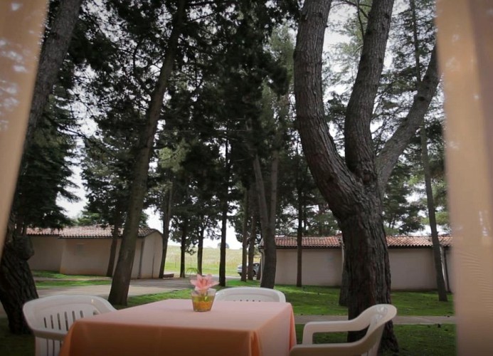 Ferienanlage Savudrija Bungalow with seaview 2TMG inkl. Halbpension