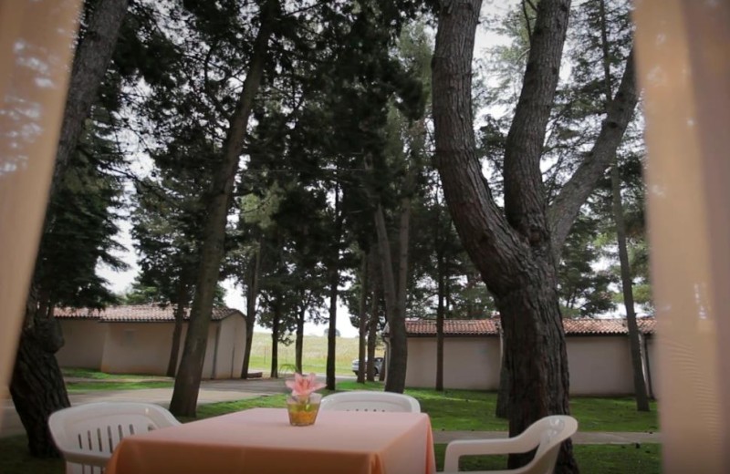 Ferienanlage Savudrija Bungalow with seaview 2TMG inkl. Halbpension